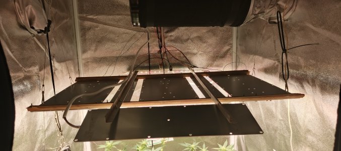 IMG_20250601_181123_871.jpg IMG_20250601_181123_871.jpg