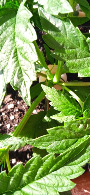 1000018014.jpg 1000018014.jpg