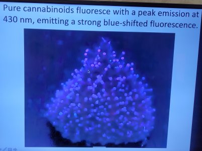 P50610-221042(1) (1).jpg