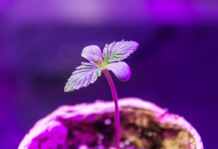 1749652963930.png 1749652963930.png