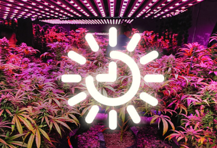 1749653008104.png 1749653008104.png