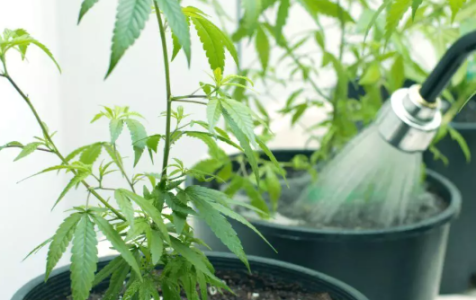 1749654166063.png 1749654166063.png