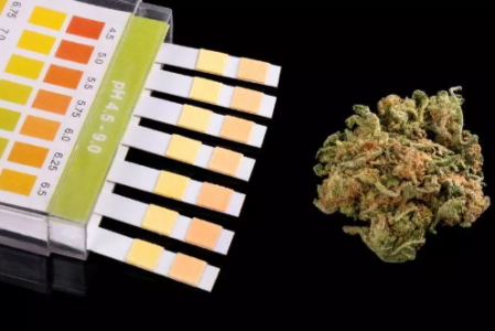 1749655357695.png 1749655357695.png