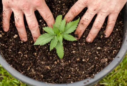 1749657004890.png 1749657004890.png