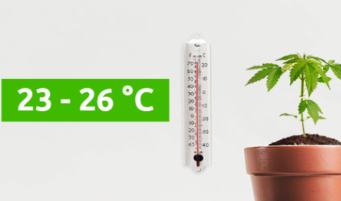 1749658310176.png 1749658310176.png