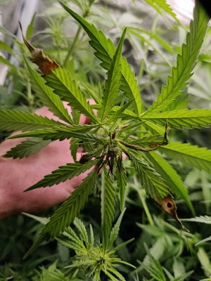 1000029665.jpg 1000029665.jpg