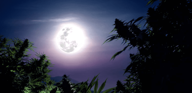 1749801195161.png 1749801195161.png