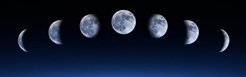 1749801354140.png 1749801354140.png