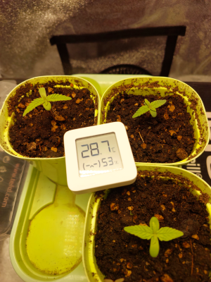 20250613_113259 13.png