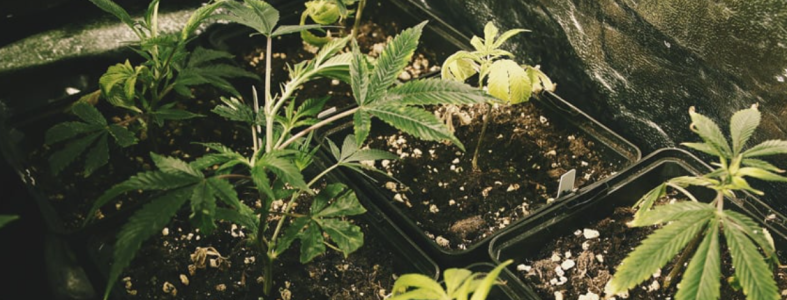 1751298752360.png 1751298752360.png