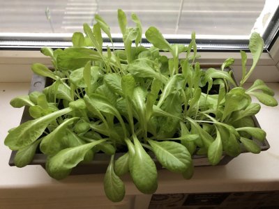 1751726206147.jpeg 1751726206147.jpeg