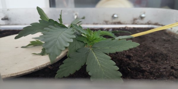 P50714-173909 (1).jpg