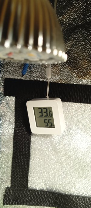 IMG_20250716_130816_414.jpg IMG_20250716_130816_414.jpg