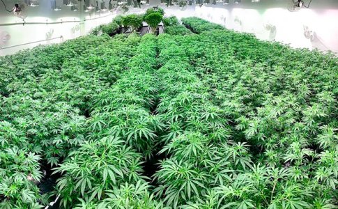 kuzbass.jpg kuzbass.jpg