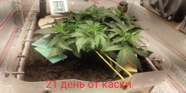 P50721-100408 (1)(1).jpg