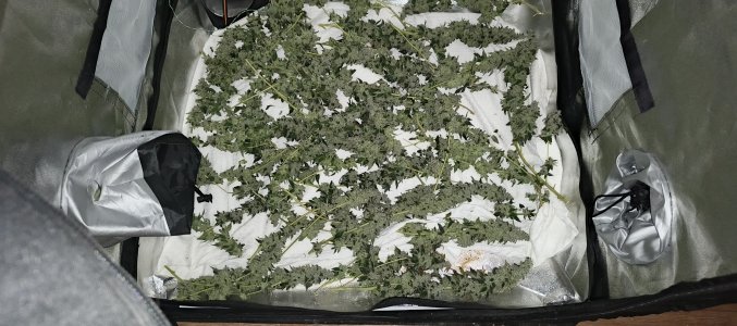 IMG_20250725_204137_665.jpg IMG_20250725_204137_665.jpg