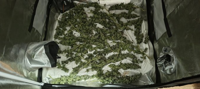 IMG_20250725_204043_788.jpg IMG_20250725_204043_788.jpg