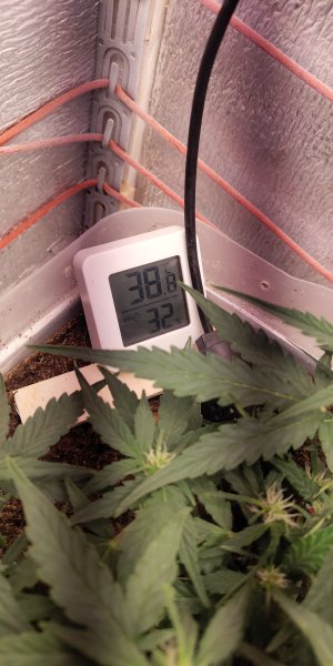 P50729-094929 (1).jpg