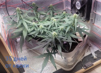 P50804-062040 (1)(1)(1).jpg