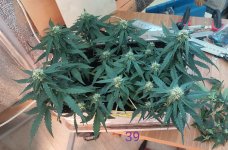 P50808-171534 (1)(1)(1).jpg