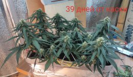 P50808-171527 (1)(1)(1).jpg