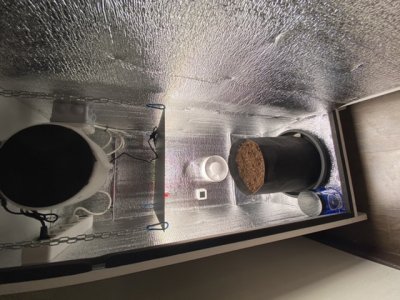 4034E851-68B5-46A0-8DB0-5E17B921BB0C.jpeg 4034E851-68B5-46A0-8DB0-5E17B921BB0C.jpeg