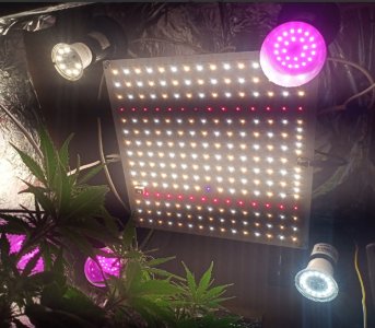 -3Yjq-RwJsk (1) (1).jpg