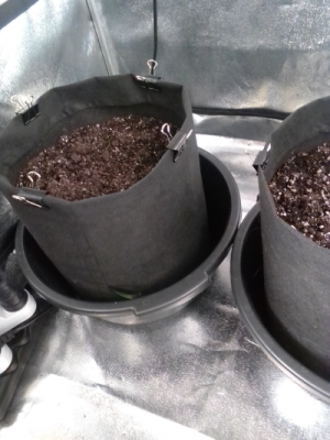 IMG_2022-04-28-10-27-47-059.png IMG_2022-04-28-10-27-47-059.png