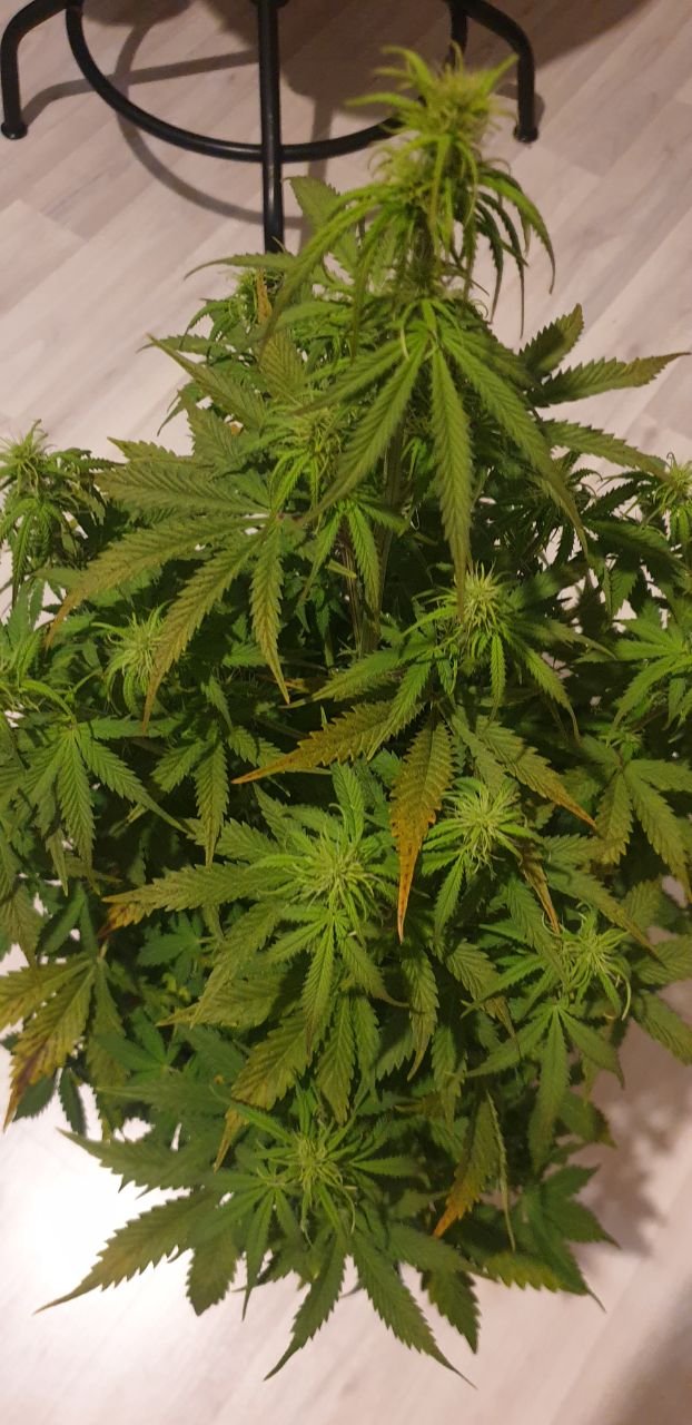 photo_2022-04-30 23.57.01.jpeg