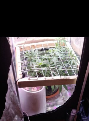 99F8E65F-37C4-4CFE-A8E5-1C253B18FE9E.jpeg 99F8E65F-37C4-4CFE-A8E5-1C253B18FE9E.jpeg