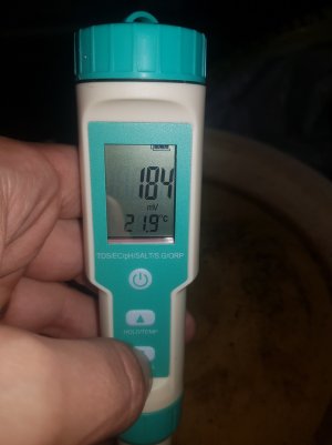 20220501_211338_optimized.jpg 20220501_211338_optimized.jpg