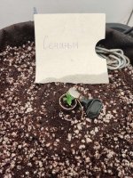 1755003294901441315222172148252 (1).jpg