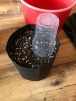 07.06.25 (9) — копия.jpg