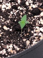 16.06.25 — копия.jpg