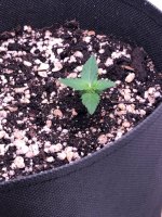 19.06.25 — копия.jpg