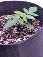 24.06.25 — копия.jpg