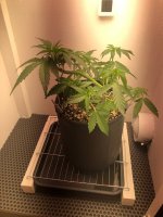 05.07.25 — копия.jpg