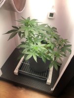 08.07.25 — копия.jpg