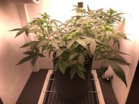 12.07.25 — копия.jpg