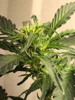 12.07.25 (2) — копия.jpg