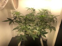 14.07.25 — копия.jpg