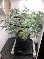 19.07.25 — копия.jpg