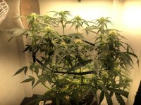 21.07.25 — копия.jpg