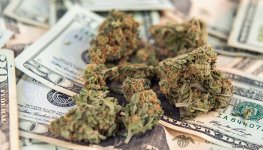 canada.jpg canada.jpg