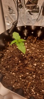 20250825_041550.jpg 20250825_041550.jpg