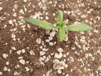 1000011092.jpg 1000011092.jpg