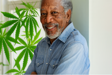 1756312611790.png 1756312611790.png