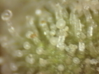 Photo_2025-08-31 07_58_40_492.png