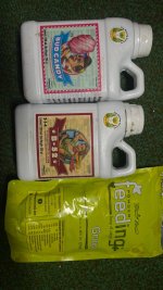 photo_2025-09-03 22.59.52.jpeg