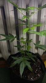 photo_2025-09-03 22.59.50.jpeg